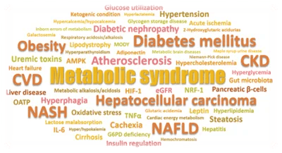 Metabolic Syndrome word graphic